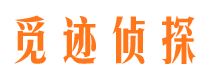 云浮市调查公司